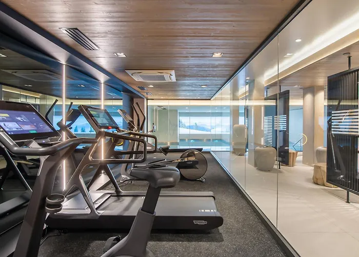 Duplex à Avec Spa, Piscine, Salle De Sport Et Cheminée - Fr-1-569-32 Appartamento Megève