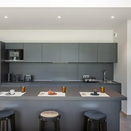 Duplex A Avec Spa, Piscine, Salle De Sport Et Cheminee - Fr-1-569-32 מגב